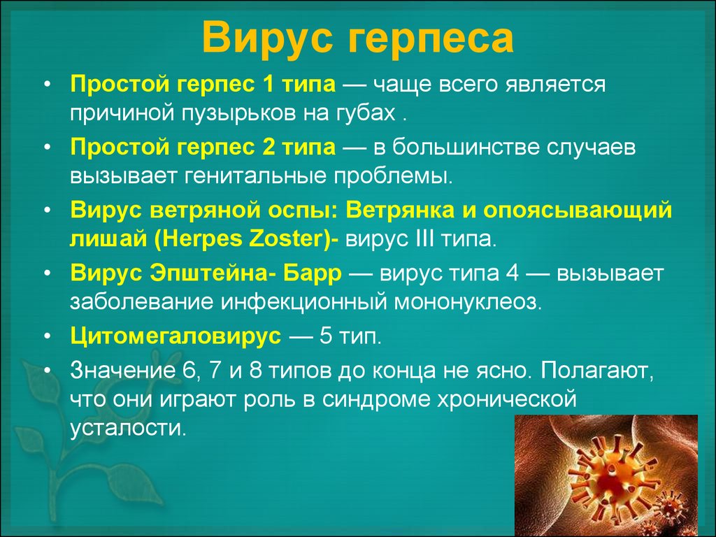 Профилактика герпеса | Долг врача в том, чтобы лечить безопасно,  качественно, приятно